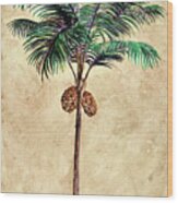 Coconut Tribal Palm Ii Wood Print