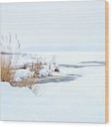 Cold Winter Snow Scene Wood Print