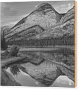 Colin Range And Athasca River Alberta Wood Print