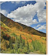 Color In The Spotlight At Red Mountain Pass Wood Print