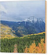 Colorado Aspens And Mountains 3 Wood Print