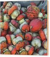 Colorful Gourds Wood Print