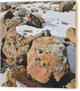 Colorful Lichen Covered Boulders In Book Cliffs Wood Print