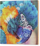 Colorful Parrot - 01 Wood Print