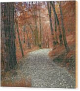 Colorful Rocky Path Wood Print