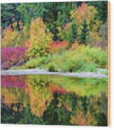 Colorful World On Cascade Meadow Wood Print