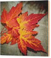 Colors Of Fall Wood Print