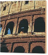 Colosseum, Rome, Italy Wood Print