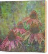 Coneflowers Among The Lavender 1667 Idp_2 Wood Print