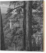 Conifers, Grand Canyon Wood Print