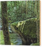 Cool Water At Mossy Rock Smokey Mountains National Park Wood Print