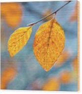 Copper Beech Leaves Wood Print