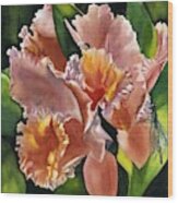 Coral Orchid Wood Print