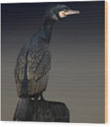 Cormorant Palette Wood Print