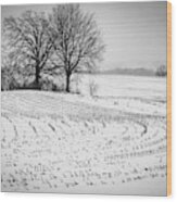 Corn Snow Wood Print