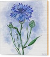 Cornflower Blue Wood Print