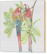 Costa Rica Scarlet Macaw, 2019 Graphite Pencil And Digital Wood Print