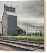 Cottonwood South Dakota Grain Elevator Iii Wood Print