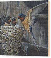 Country Living  - Barn Swallows Wood Print