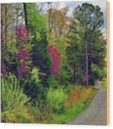 Country Road Take Me Home Wood Print