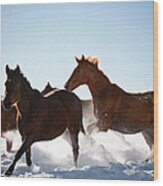 Cowboy With Lasso Herding Horses In Wood Print