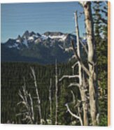 Cowlitz Chimneys And Snags In Mount Rainier National Park Wood Print