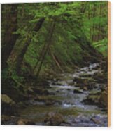 Creek Flowing Through Shady Forest Wood Print