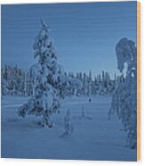 Cross Country Skiing In The Moonlight Wood Print