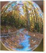 Crystal Ball Forest Wood Print