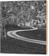 Curve Road With Landscape Wood Print