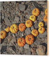 Curved Line Of Yellow And Orange Pumpkins Munchkin Wood Print