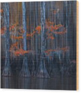 Cypress Trees In Reality And Abstract Wood Print
