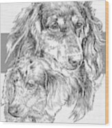 Dachshund - Long-hair And Pup Wood Print