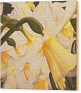 Daffodil Abstraction Wood Print