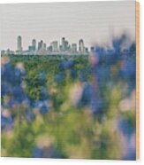 Dallas County Bluebonnets Wood Print