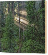 Daybreak In Jedediah Smith Redwoods State Park Wood Print