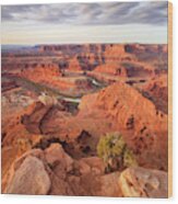 Dead Horse Point Wood Print