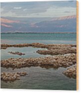 Dead Sea At Dusk Wood Print