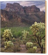 Desert Mountains And Cactus Wood Print
