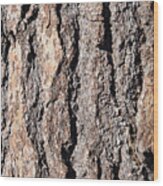 Detail Of Ponderosa Pine Bark Wood Print