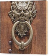 Devil Door Of Venice Wood Print