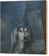 Dog In Winter Wood Print
