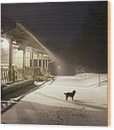 Dog Standing On Road Wood Print