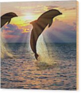 Dolphin Silhouettes At Sunset Wood Print