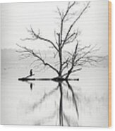 Dry Tree Surrounded By Water And A Wood Print
