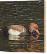 Duck On Water Wood Print