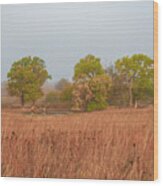 Early Morning Fog In The Flint Hills Wood Print