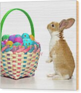 Easter Bunny And Basket Of Coloured Eggs Wood Print