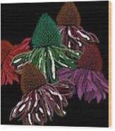 Echinacea Flowers With Black Wood Print