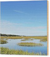 Egan Creek Greenway Marsh And Amelia Wood Print